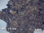 Thin Section Photo of Sample MIL 11199 in Plane-Polarized Light with 1.25X Magnification