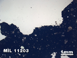Thin Section Photo of Sample MIL 11203 in Plane-Polarized Light with 1.25X Magnification