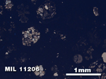 Thin Section Photo of Sample MIL 11206 in Plane-Polarized Light with 2.5X Magnification