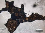 Thin Section Photo of Sample MIL 11231 in Plane-Polarized Light with 1.25x Magnification