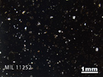 Thin Section Photo of Sample MIL 11252 in Plane-Polarized Light with 1.25x Magnification