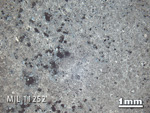 Thin Section Photo of Sample MIL 11252 in Reflected Light with 1.25x Magnification