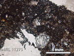 Thin Section Photo of Sample MIL 11275 in Plane-Polarized Light with 2.5x Magnification