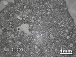 Thin Section Photo of Sample MIL 11293 in Reflected Light with 1.25x Magnification