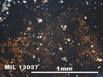 Thin Section Photo of Sample MIL 13037 in Plane-Polarized Light with 5X Magnification