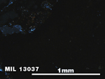 Thin Section Photo of Sample MIL 13037 in Cross-Polarized Light with 5X Magnification