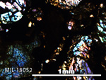 Thin Section Photo of Sample MIL 13052 in Cross-Polarized Light with 5X Magnification