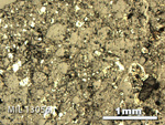 Thin Section Photo of Sample MIL 13056 in Reflected Light with 2.5X Magnification