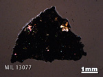 Thin Section Photo of Sample MIL 13077 in Cross-Polarized Light with 1.25X Magnification