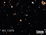Thin Section Photo of Sample MIL 13078 in Cross-Polarized Light with 1.25X Magnification