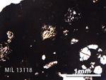 Thin Section Photo of Sample MIL 13118 in Plane-Polarized Light with 2.5X Magnification