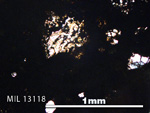 Thin Section Photo of Sample MIL 13118 in Plane-Polarized Light with 5X Magnification