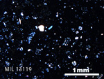 Thin Section Photo of Sample MIL 13119 in Cross-Polarized Light with 2.5X Magnification