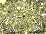 Thin Section Photo of Sample MIL 13152 in Reflected Light with 2.5X Magnification