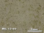 Thin Section Photo of Sample MIL 13169 in Reflected Light with 2.5X Magnification