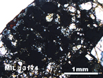 Thin Section Photo of Sample MIL 13174 in Plane-Polarized Light with 2.5X Magnification