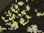 Thin Section Photo of Sample MIL 13174 in Reflected Light with 2.5X Magnification