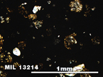 Thin Section Photo of Sample MIL 13214 in Plane-Polarized Light with 5X Magnification