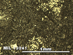 Thin Section Photo of Sample MIL 13241 in Reflected Light with 5X Magnification