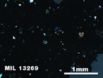 Thin Section Photo of Sample MIL 13269 in Cross-Polarized Light with 2.5X Magnification