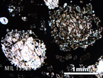 Thin Section Photo of Sample MIL 13328 in Plane-Polarized Light with 2.5X Magnification