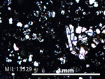 Thin Section Photo of Sample MIL 13329 in Plane-Polarized Light with 5X Magnification