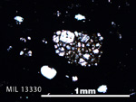 Thin Section Photo of Sample MIL 13330 in Plane-Polarized Light with 5X Magnification