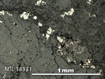 Thin Section Photo of Sample MIL 13331 in Reflected Light with 5X Magnification