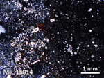 Thin Section Photo of Sample MIL 15014 in Plane-Polarized Light with 2.5X Magnification