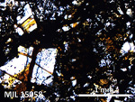 Thin Section Photo of Sample MIL 15058 in Plane-Polarized Light with 5X Magnification