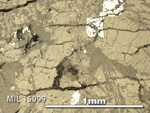 Thin Section Photo of Sample MIL 15099 in Reflected Light with 5X Magnification