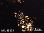 Thin Section Photo of Sample MIL 15123 in Plane-Polarized Light with 2.5X Magnification