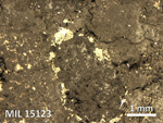 Thin Section Photo of Sample MIL 15123 in Reflected Light with 2.5X Magnification
