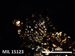 Thin Section Photo of Sample MIL 15123 in Plane-Polarized Light with 5X Magnification