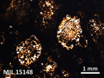 Thin Section Photo of Sample MIL 15148 in Plane-Polarized Light with 2.5X Magnification