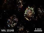 Thin Section Photo of Sample MIL 15148 in Cross-Polarized Light with 2.5X Magnification