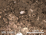 Thin Section Photo of Sample MIL 15181 in Reflected Light with 5X Magnification