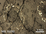 Thin Section Photo of Sample MIL 15192 in Reflected Light with 2.5X Magnification