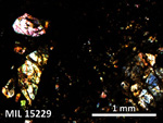 Thin Section Photo of Sample MIL 15229 in Cross-Polarized Light with 5X Magnification