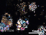 Thin Section Photo of Sample MIL 15230 in Cross-Polarized Light with 2.5X Magnification
