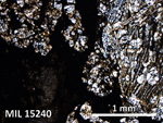 Thin Section Photo of Sample MIL 15240 in Plane-Polarized Light with 5X Magnification