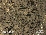 Thin Section Photo of Sample MIL 15247 in Reflected Light with 2.5X Magnification