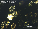 Thin Section Photo of Sample MIL 15257 in Plane-Polarized Light with 2.5X Magnification