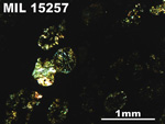 Thin Section Photo of Sample MIL 15257 in Cross-Polarized Light with 2.5X Magnification