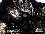 Thin Section Photo of Sample MIL 15264 in Plane-Polarized Light with 2.5X Magnification