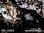 Thin Section Photo of Sample MIL 15264 in Plane-Polarized Light with 5X Magnification