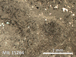 Thin Section Photo of Sample MIL 15264 in Reflected Light with 5X Magnification