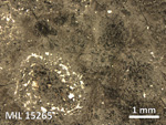 Thin Section Photo of Sample MIL 15265 in Reflected Light with 2.5X Magnification