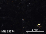 Thin Section Photo of Sample MIL 15274 in Plane-Polarized Light with 5X Magnification