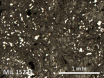 Thin Section Photo of Sample MIL 15274 in Reflected Light with 5X Magnification